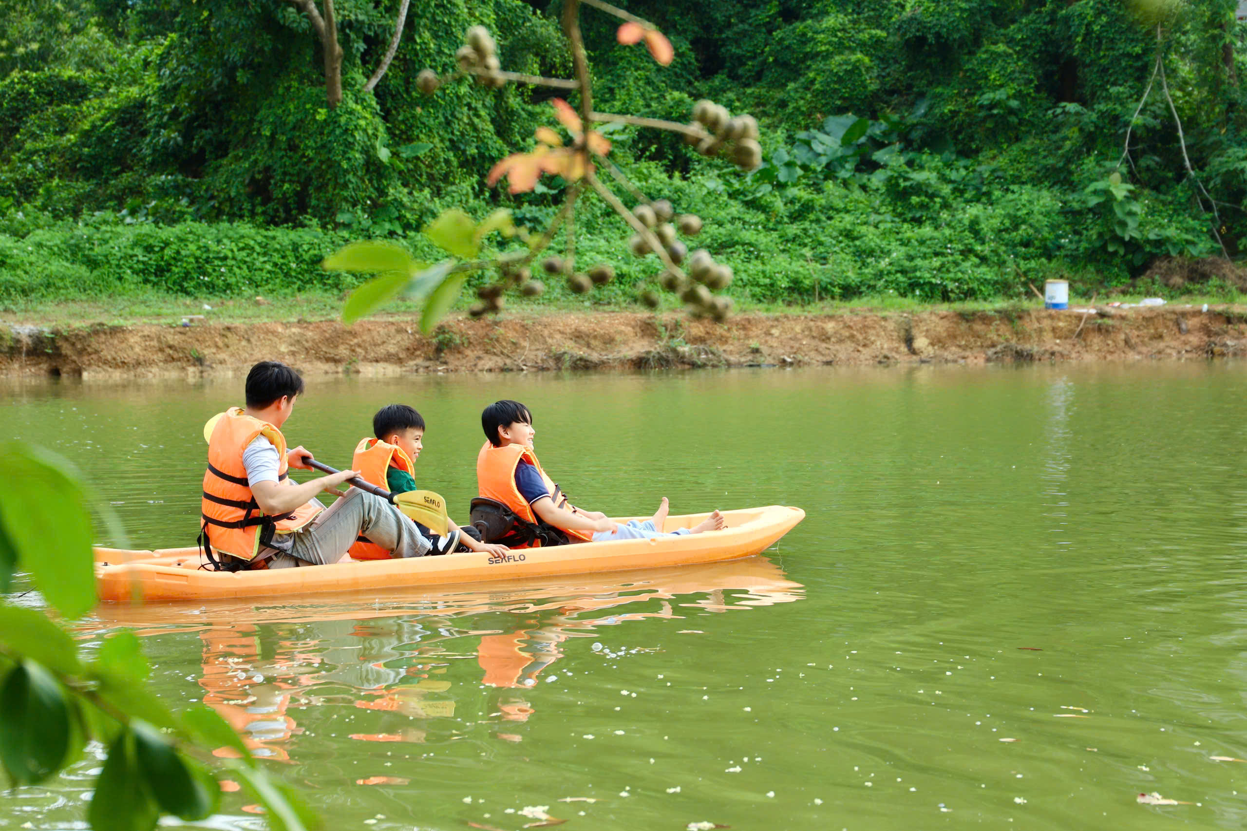 z7193082969504-d071fbdccc9b448a92c4edf449b7bb79