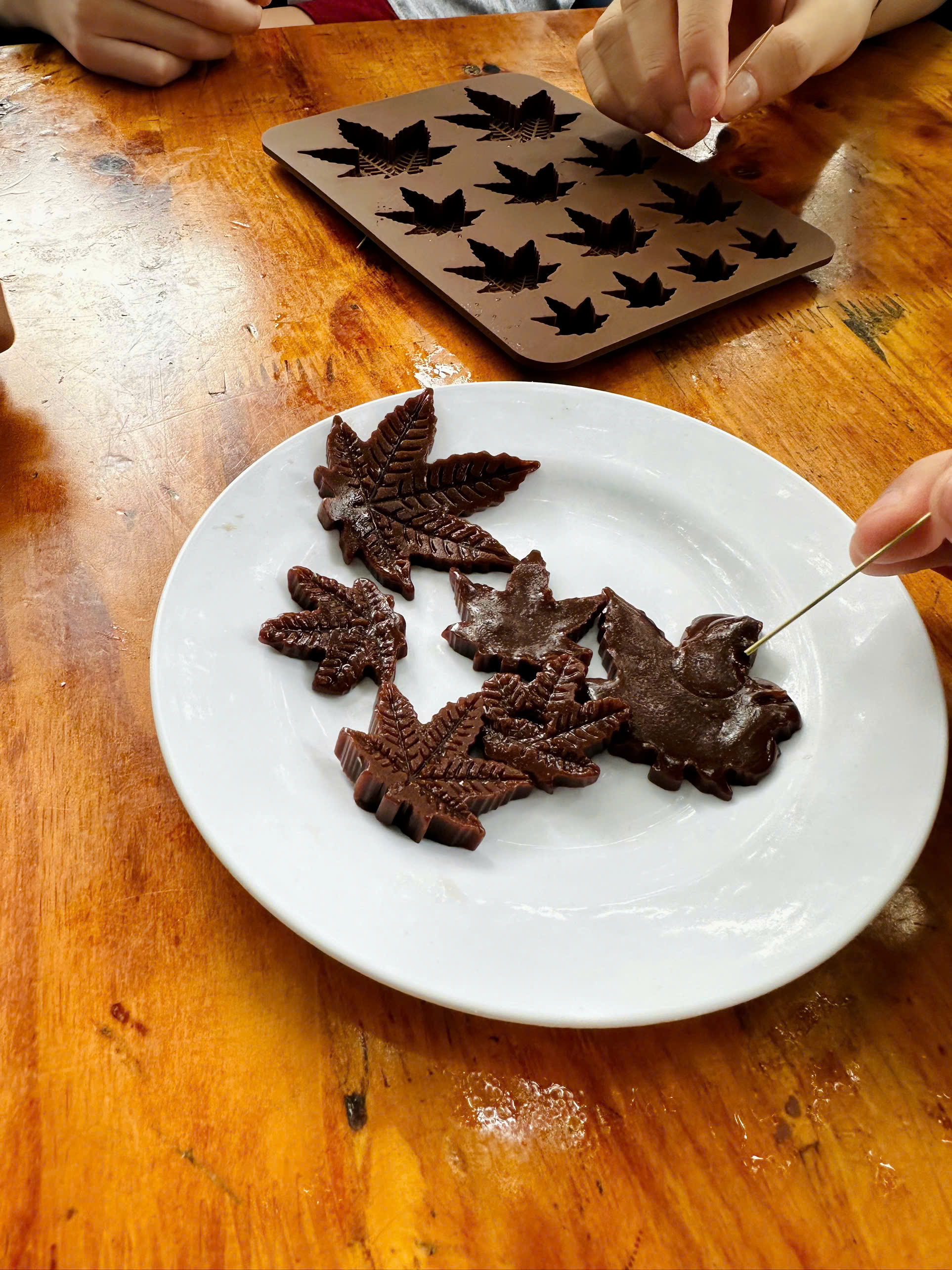 z7336897315389-8166616a0b703e6bfab9112e86ea5f76