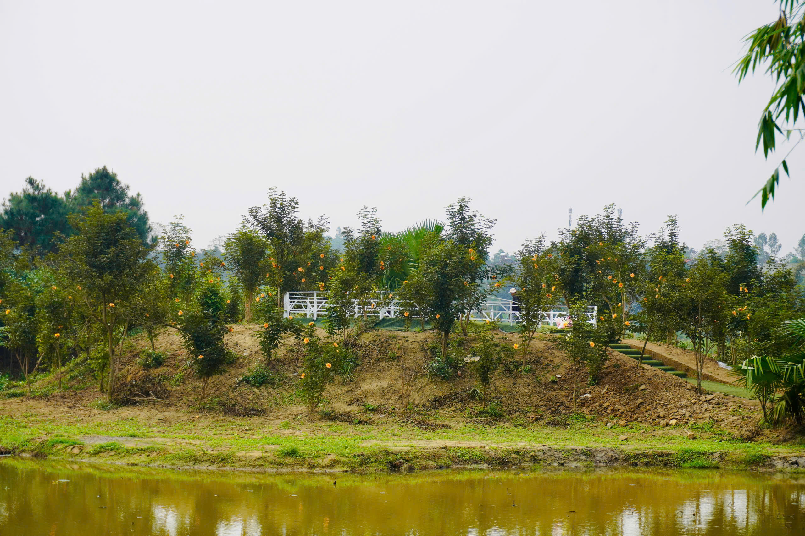 z7423845397874-f6ff7e74f6f1665f2db69032929bf336