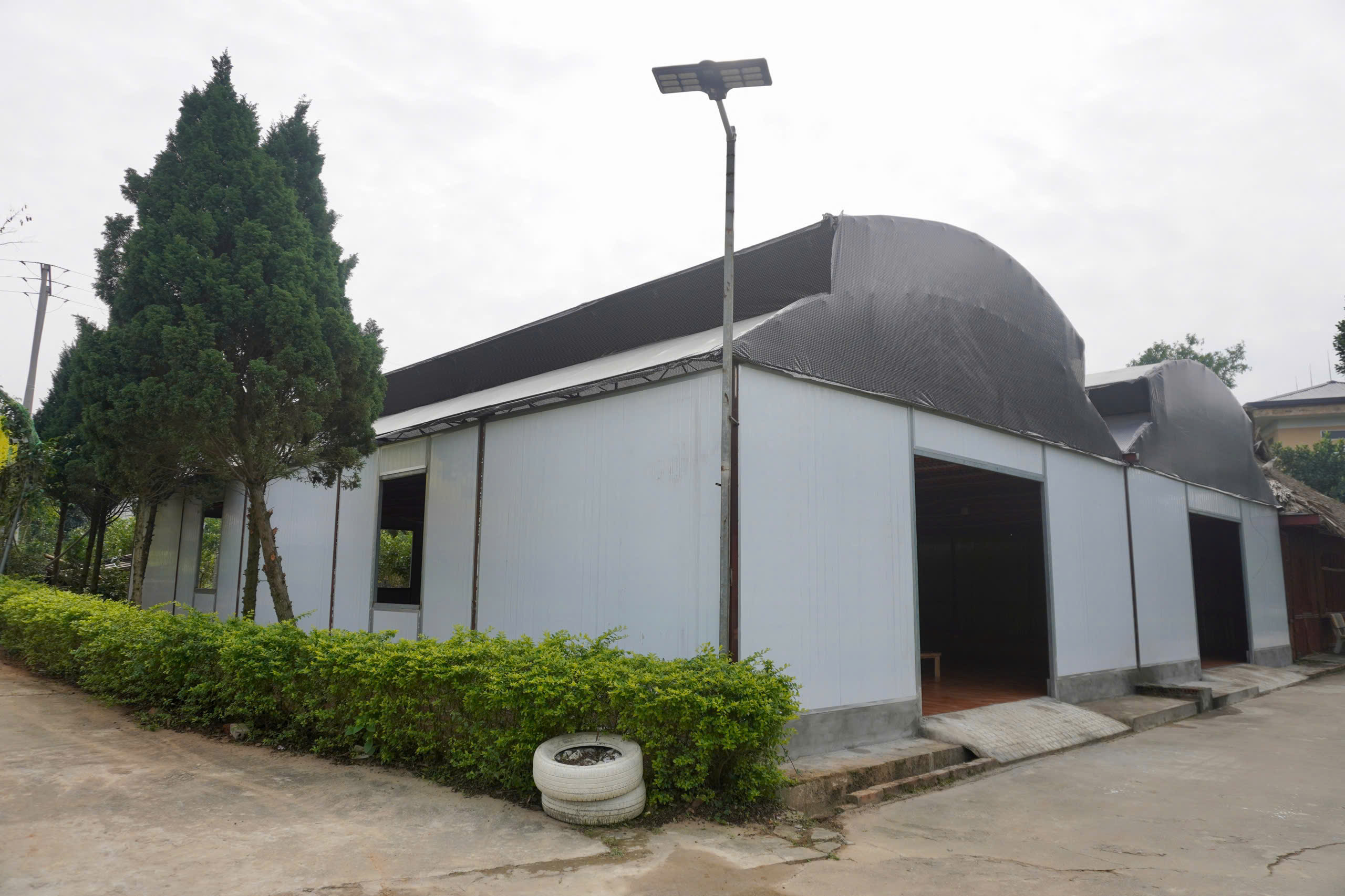 z7423845514243-e8962e112ec663d6ad5e04af0bb8d40a