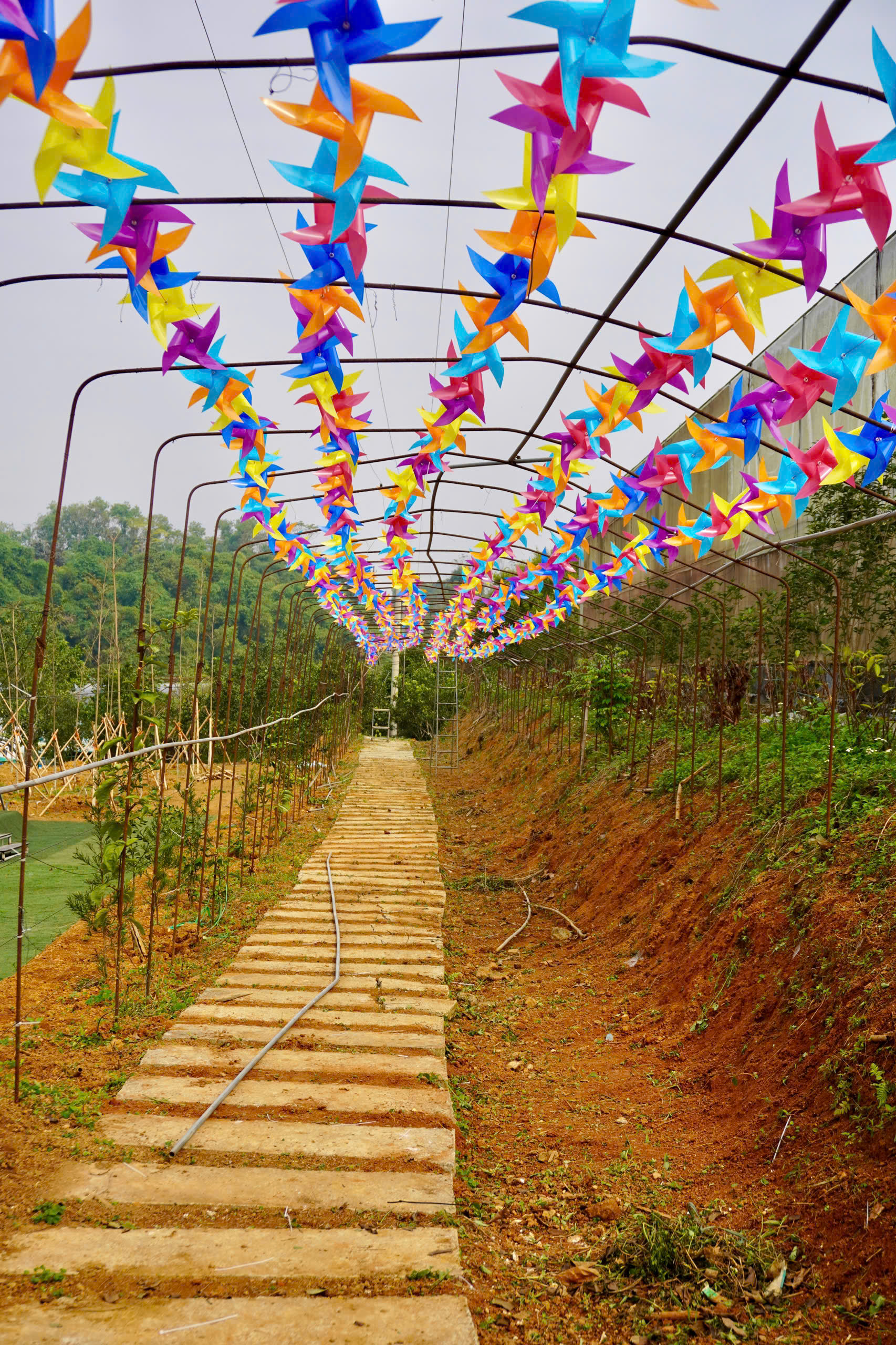 z7423845652768-c745aebeb1f17de9809df8ffdeff1fe5