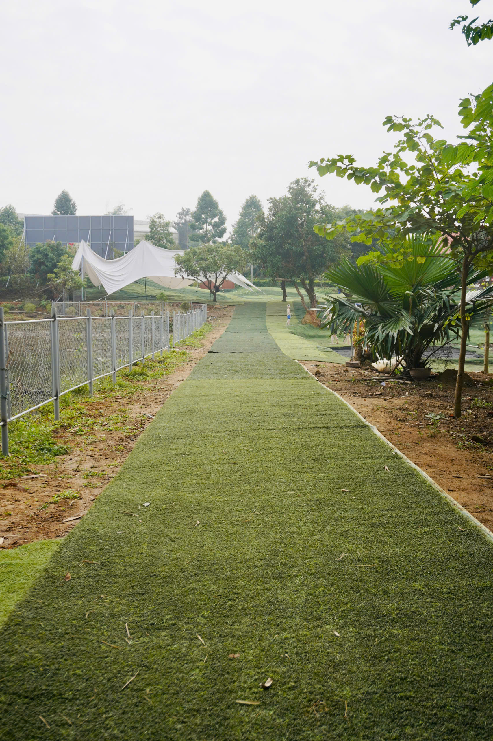 z7423845657299-8e6d35dbceb4efe44d18e601f49849d3