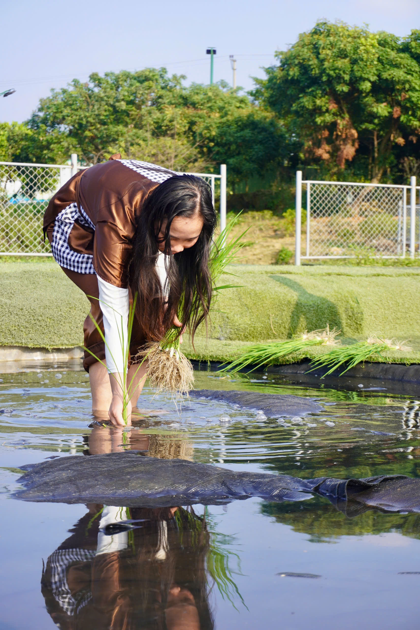 z7423845949615-fa483161499fef43b01e8778352d17c9