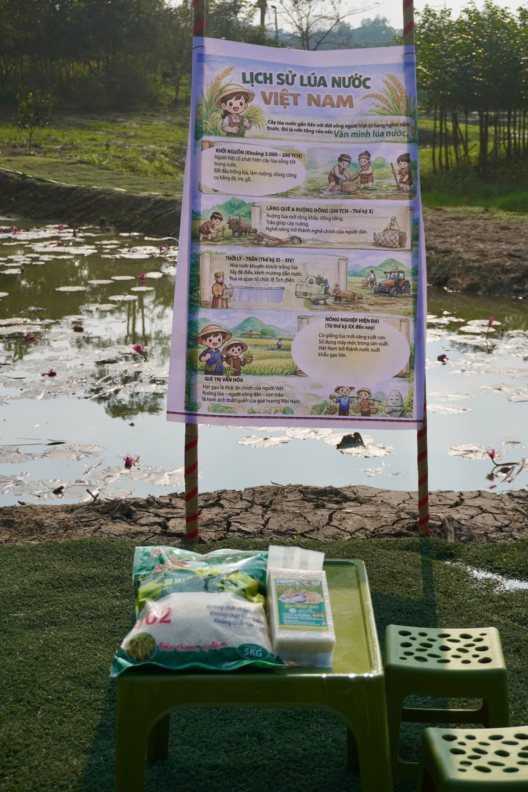 z7423845964132-60e5d88518c6aea1301be1f1ded2e716